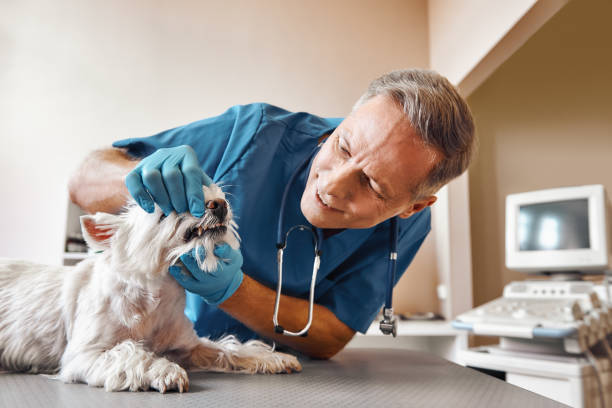 Best Weekend Emergency Dentist in Wartburg, TN